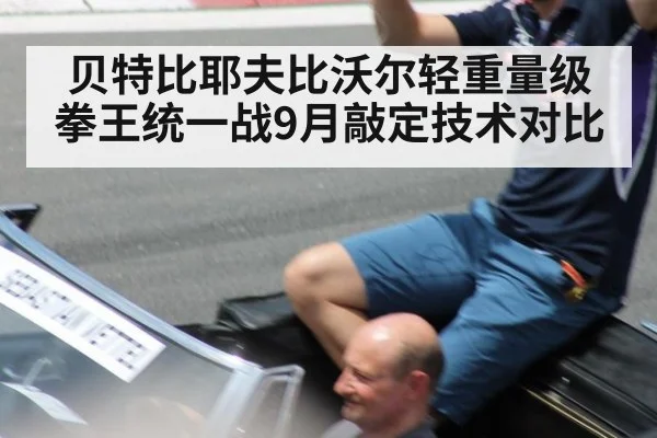 贝特比耶夫比沃尔轻重量级拳王统一战9月敲定技术对比