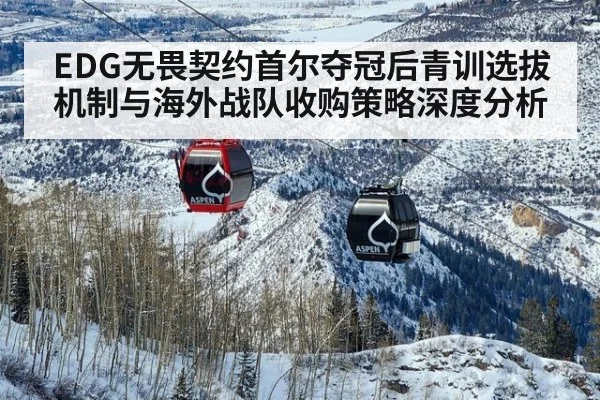 EDG无畏契约首尔夺冠后青训选拔机制与海外战队收购策略深度分析